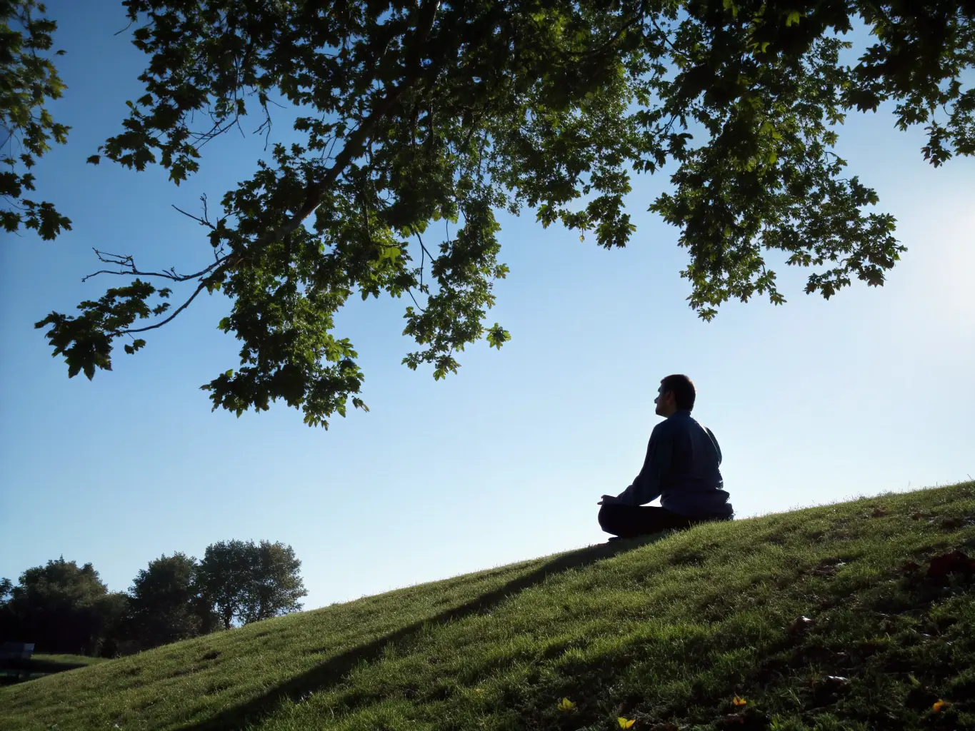 A person meditating peacefully in a serene environment, emphasizing stress reduction and mental clarity.
